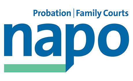 NAPO logo