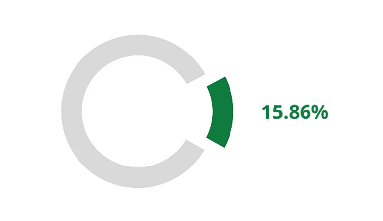 donut chart with weight index data 